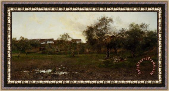 Emilio Sanchez Perrier An Olive Grove at Sunset Framed Painting