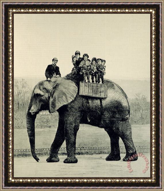 English School A Farewell Ride on Jumbo from The Illustrated London News Framed Print