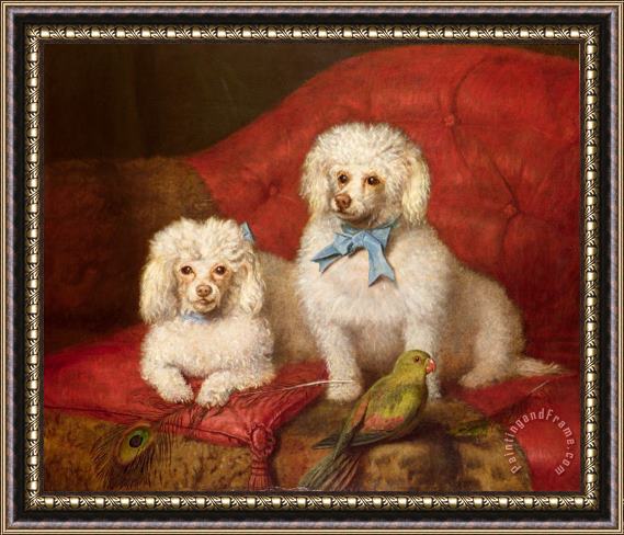 English School A Pair of Poodles Framed Painting