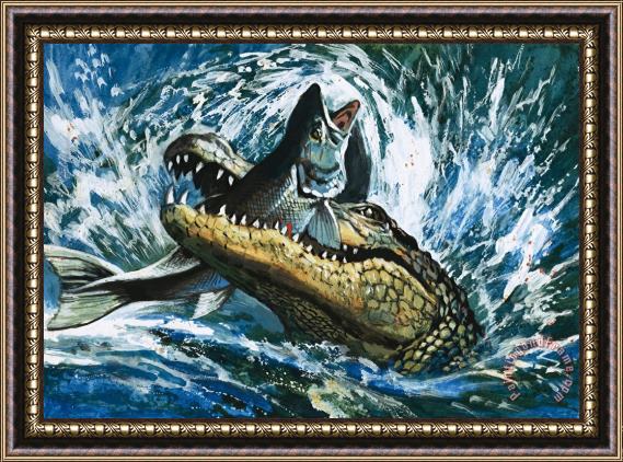 English School Alligator Eating Fish Framed Painting