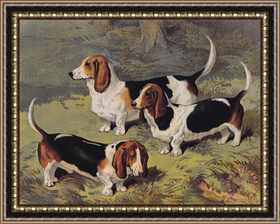 English School Basset Hounds Framed Painting