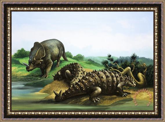 English School Monoclonius and Scolosaurus Framed Print