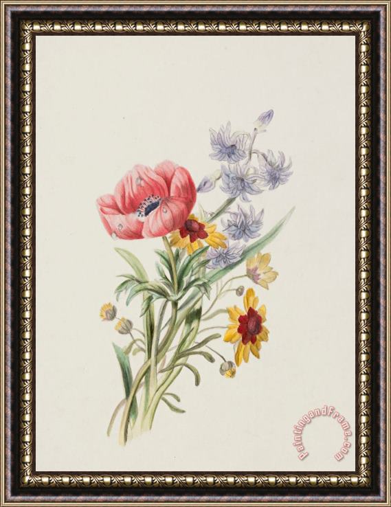English School Study of wild flowers Framed Painting