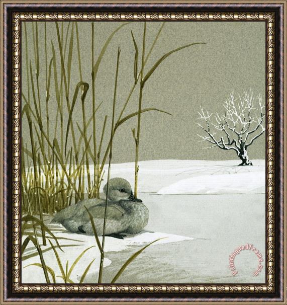 English School The Ugly Duckling Framed Painting