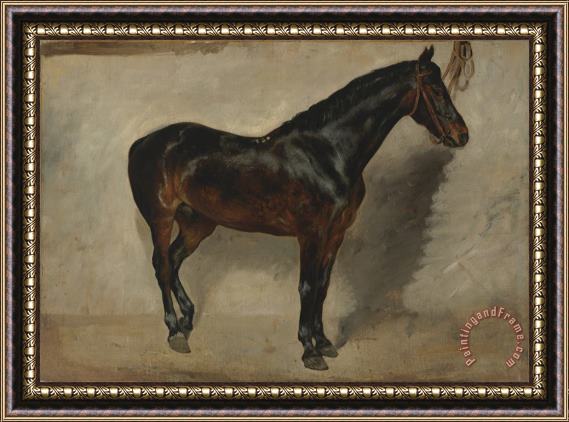 Eugene Delacroix Study of a Brown Black Horse Tethered to a Wall Framed Print