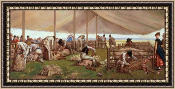 Eyre Crowe  The Sheep Shearing Match Framed Print