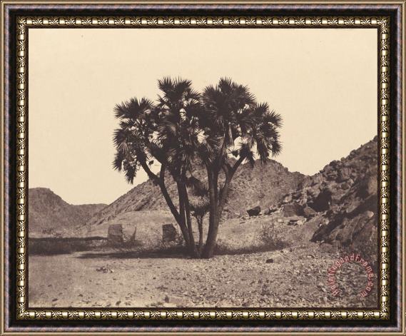 Felix Teynard Egypte Et Nubie. Sites Et Monuments...atlas Photographe...deuxieme Partie. Nubie. Framed Painting