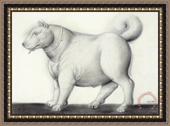 Fernando Botero Dog, 1988 Framed Print