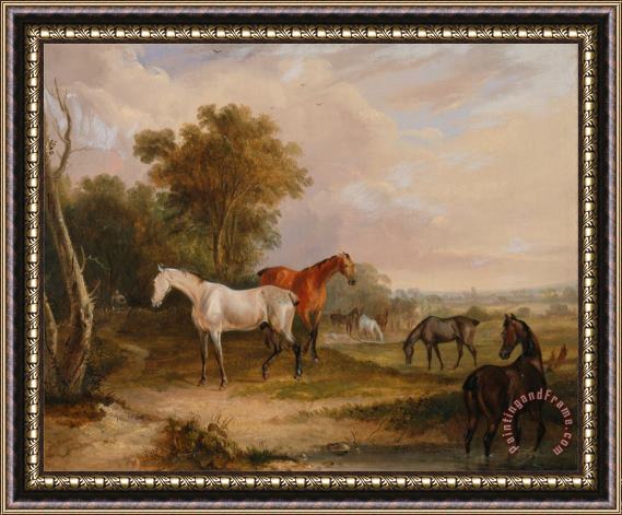 Francis Calcraft Turner Horses Grazing a Grey Stallion Grazing with Mares in a Meadow Framed Print