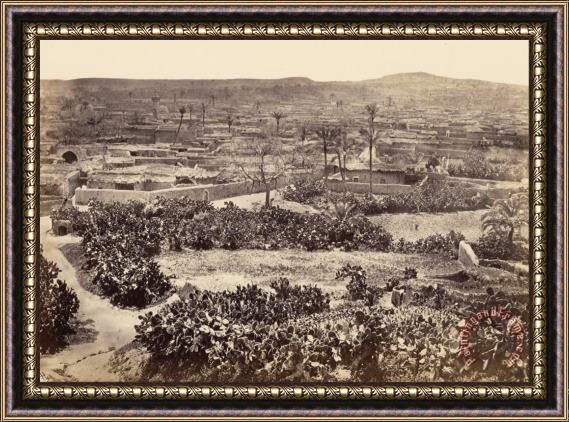 Francis Frith Gaza, The New Town Framed Print
