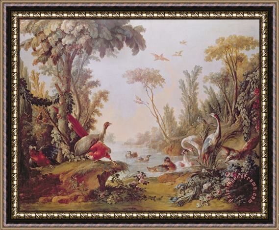 Francois Boucher Lake with geese storks parrots and herons Framed Print