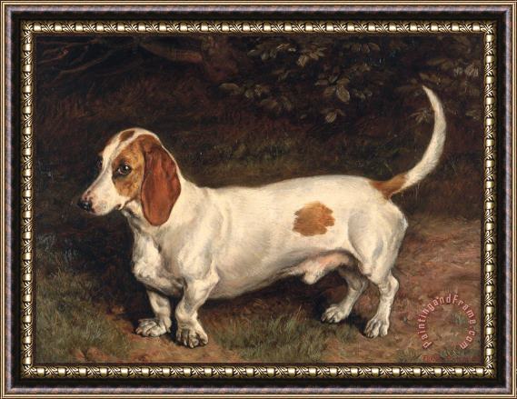 Frank Paton A Favorite Dachshund Framed Painting