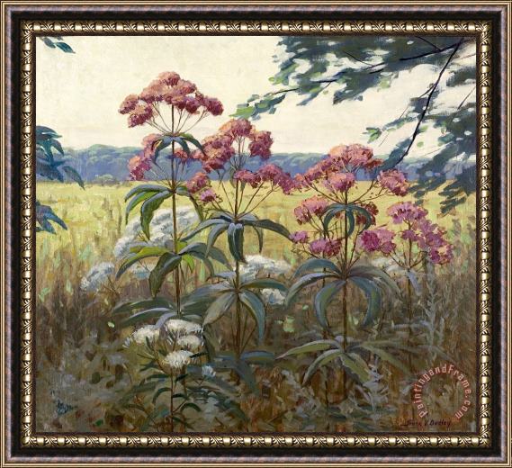 Frank V. Dudley Joe Pye Weed & Boneset Framed Painting