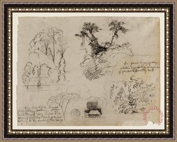 Frederic Edwin Church Sketches From South America, Probably From Colombia. Botanical Sketches. a House. Framed Print
