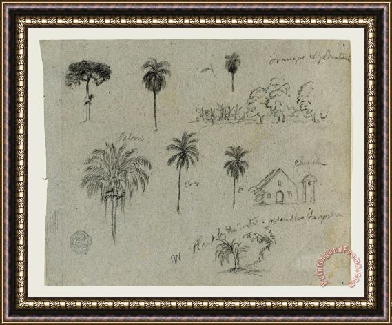 Frederic Edwin Church Sketches From The Rio Magdalena, Colombia. Botanical Sketches. a Church. Similar to 103. Framed Painting
