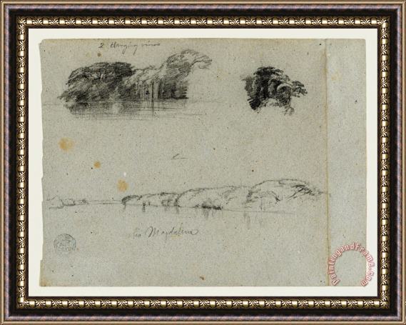 Frederic Edwin Church Sketches of Trees, Vines And a Bank of The Rio Magdalena, Columbia Framed Painting