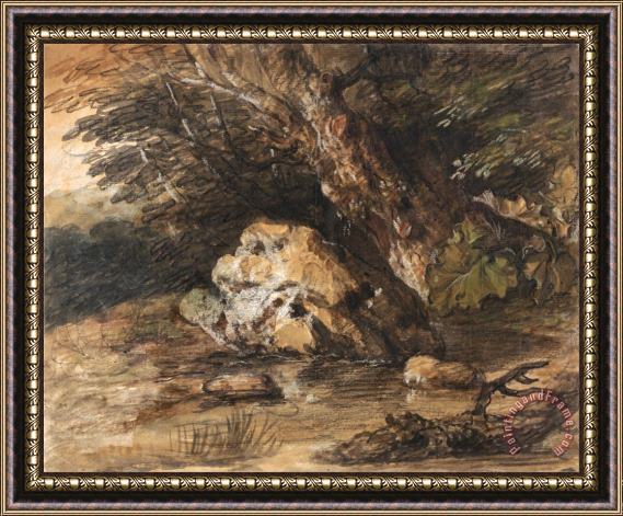 Gainsborough, Thomas A Woodland Pool with Rocks And Plants Framed Print