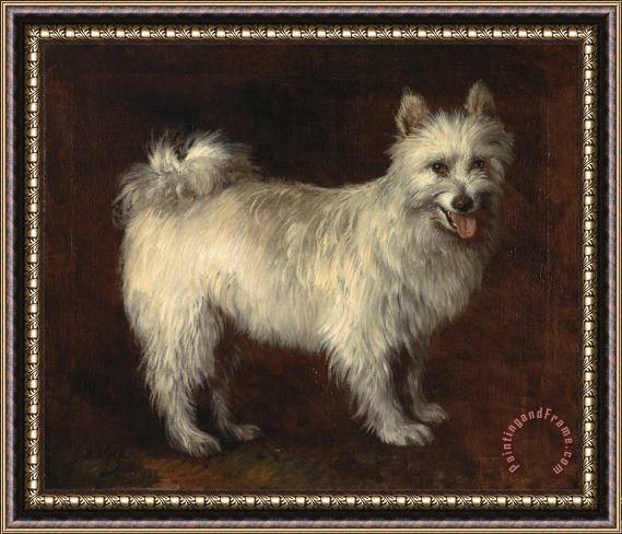 Gainsborough, Thomas Spitz Dog Framed Painting