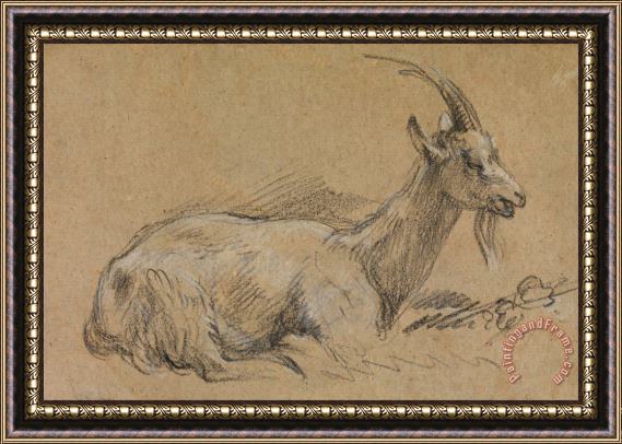 Gainsborough, Thomas Study of a Goat Framed Painting