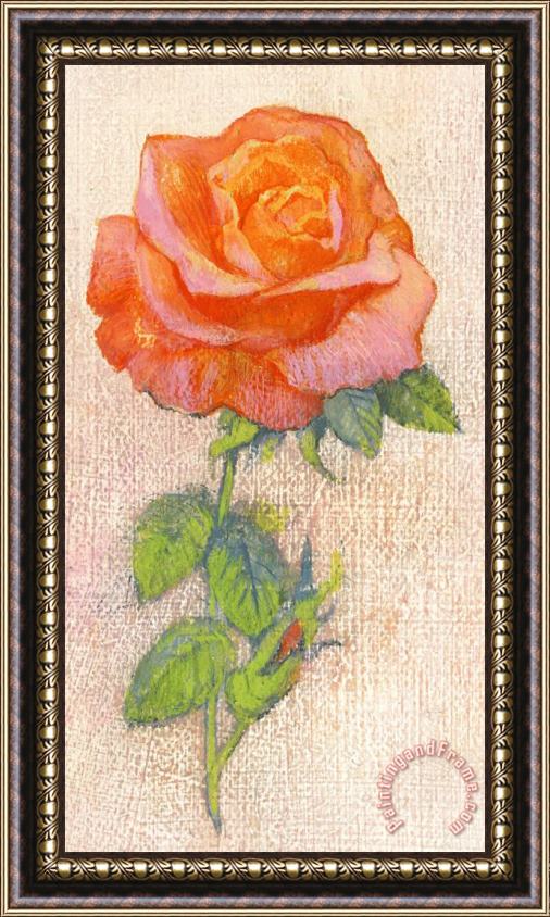 George Adamson Pale Rose Framed Print