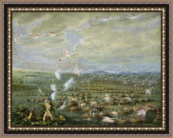 George Catlin Flamingo Shooting in South America Framed Painting