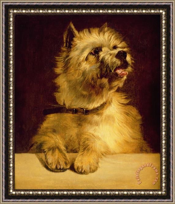 George Earl Cairn Terrier Framed Print