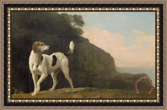 George Stubbs A Foxhound Framed Painting