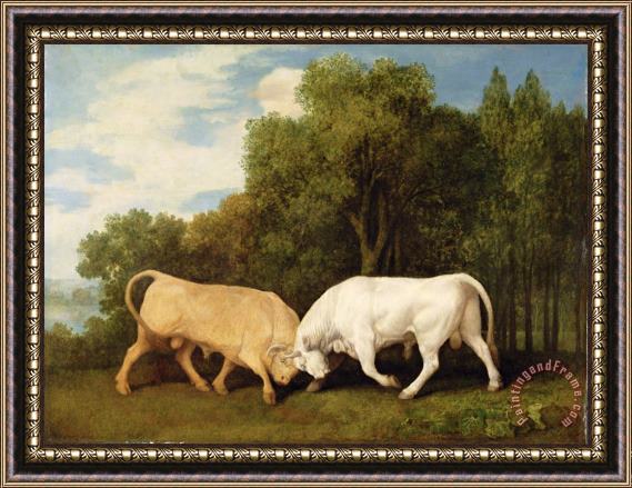 George Stubbs Bulls Fighting Framed Painting