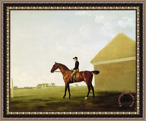 George Stubbs Turf Framed Painting