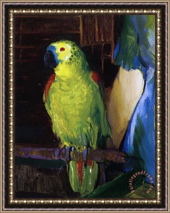 George Wesley Bellows Parrot Framed Painting