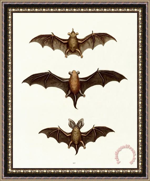 George Wharton Edwards Bats Framed Painting