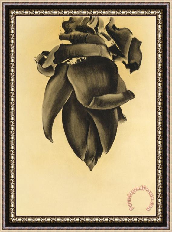 Georgia O'keeffe Banana Flower No. Ii, 1934 Framed Painting