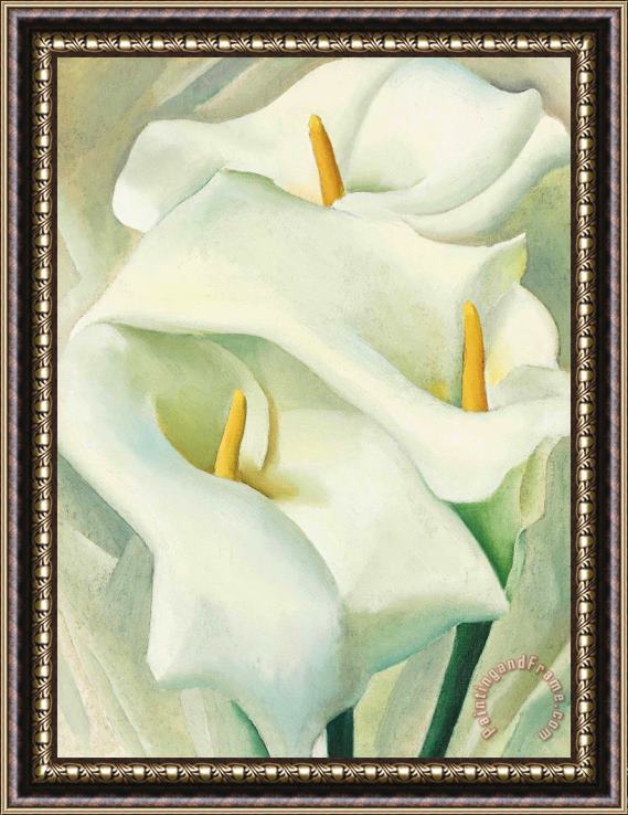 Georgia O'keeffe Calla Lilies, 1924 Framed Print