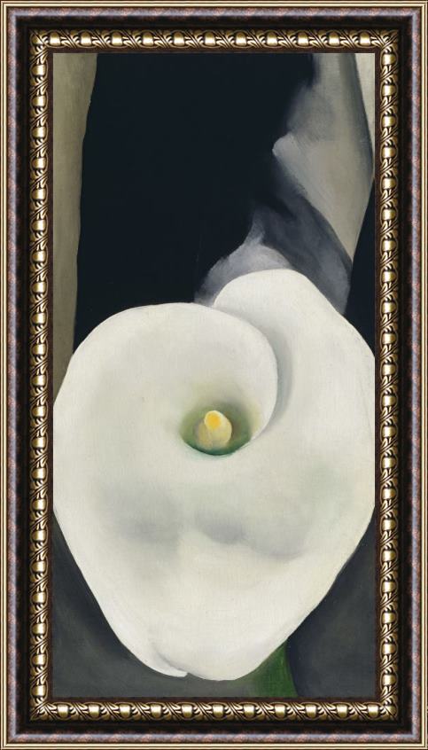 Georgia O'keeffe Calla Lily for Alfred, 1927 Framed Painting