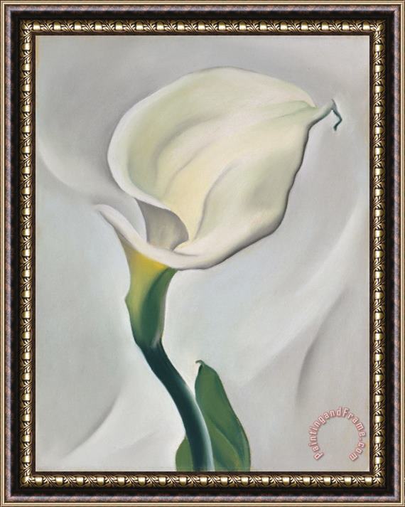 Georgia O'keeffe Calla Lily Turned Away, 1923 Framed Print