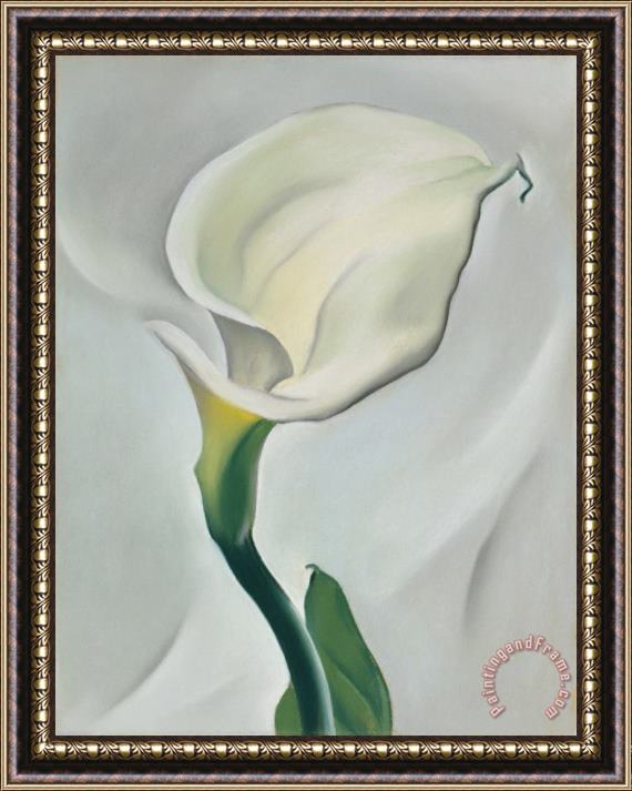 Georgia O'Keeffe Calla Lily Turned Away Framed Print