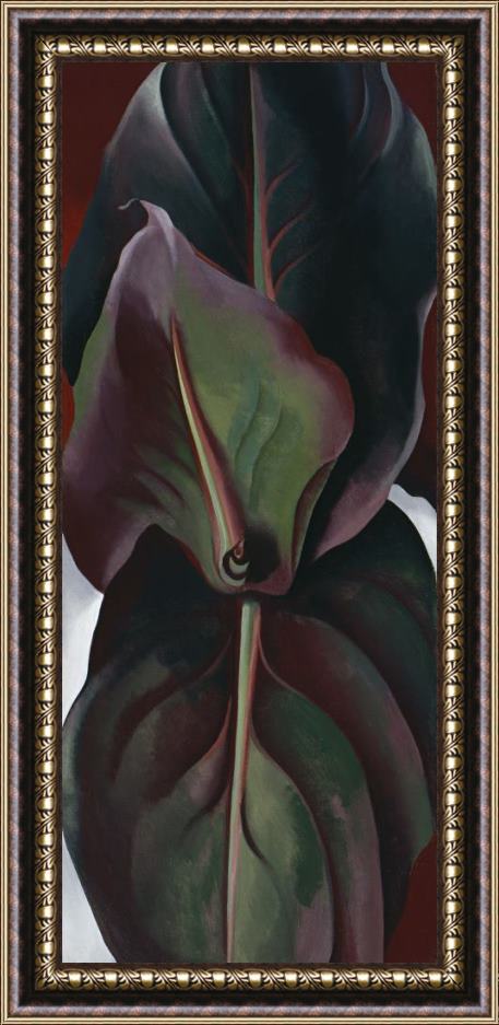 Georgia O'keeffe Canna Leaves, 1925 Framed Painting