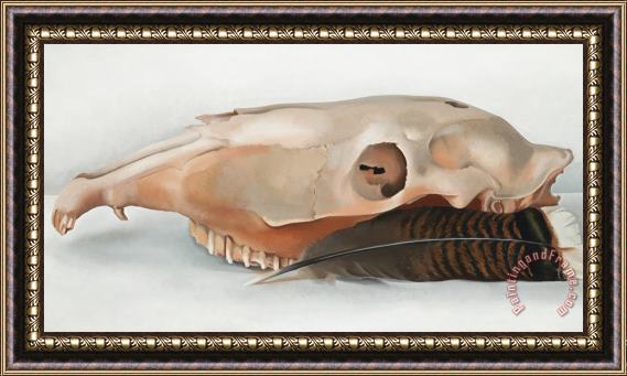 Georgia O'Keeffe Horizontal Horse's Or Mule's Skull with Feather Framed Painting