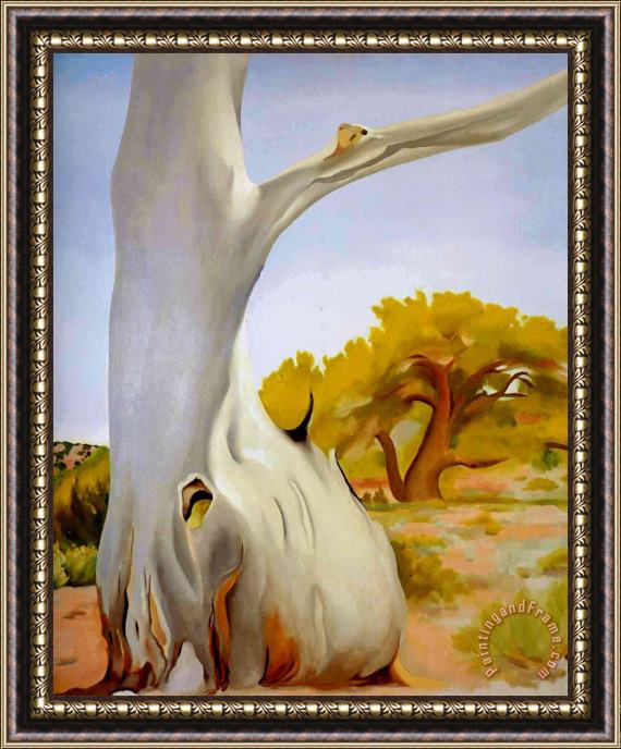 Georgia O'keeffe Not Detected 231744 Framed Painting