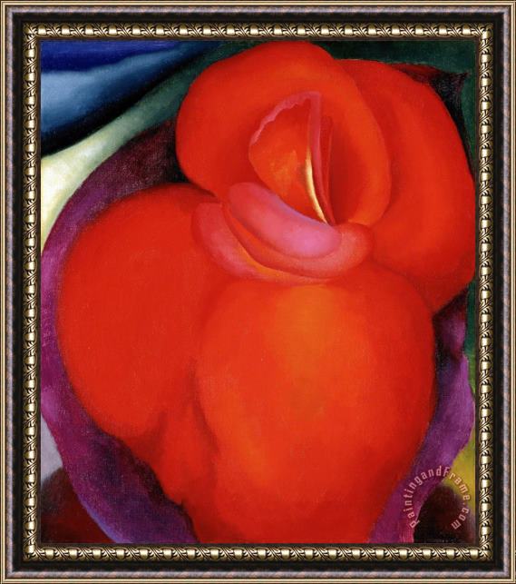 Georgia O'keeffe Red Flower, 1919 Framed Painting