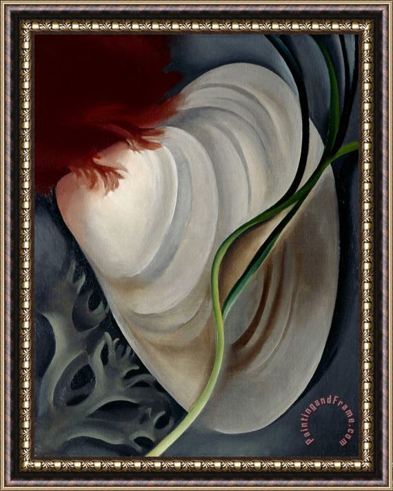 Georgia O'keeffe Shell No 2 Framed Print