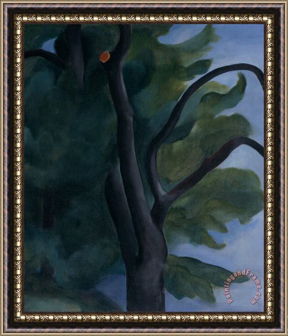 Georgia O'keeffe Tree with Cut Limb, 1920 Framed Print