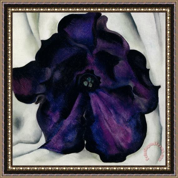 Georgia O'keeffe Untitled (purple Petunia), 1925 Framed Painting