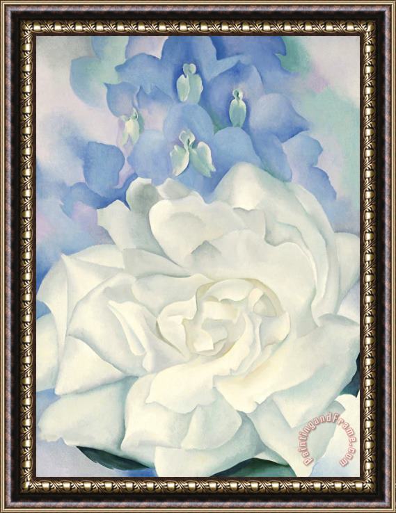 Georgia O'keeffe White Rose with Larkspur No. 2, 1927 Framed Print