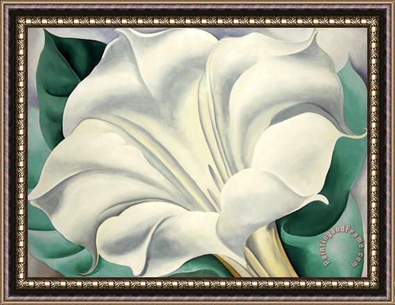 Georgia O'Keeffe White Trumpet Flower Framed Painting