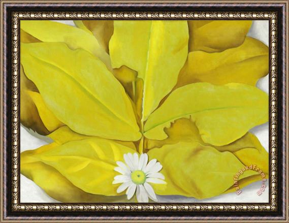 Georgia O'keeffe Yellow Hickory Leaves with Daisy, 1928 Framed Print