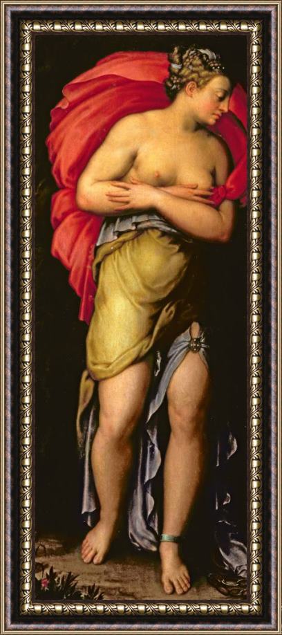 Giorgio Vasari Patience Framed Painting