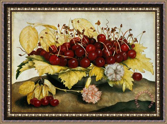 Giovanna Garzoni Cherries and Carnations Framed Painting