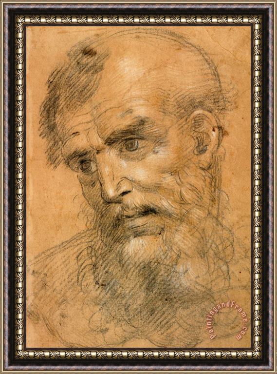 Giovanni Antonio Sogliani Head of a Bearded Man (recto); Study for a Sacra Conversazione (verso) Framed Painting