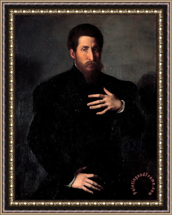 Girolamo da Carpi Portrait of a Virile Man Framed Painting